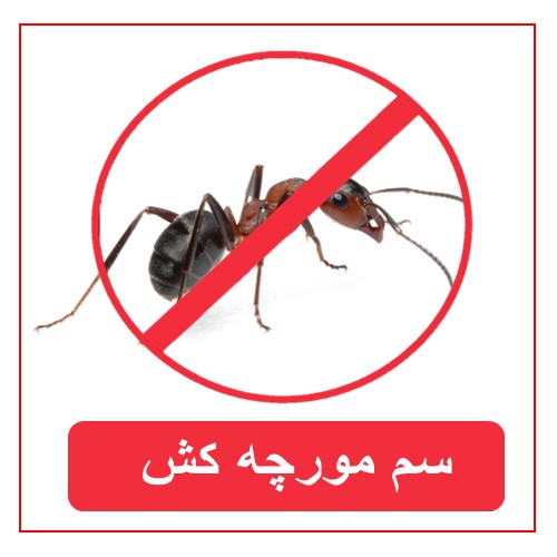 سموم مورچه کش